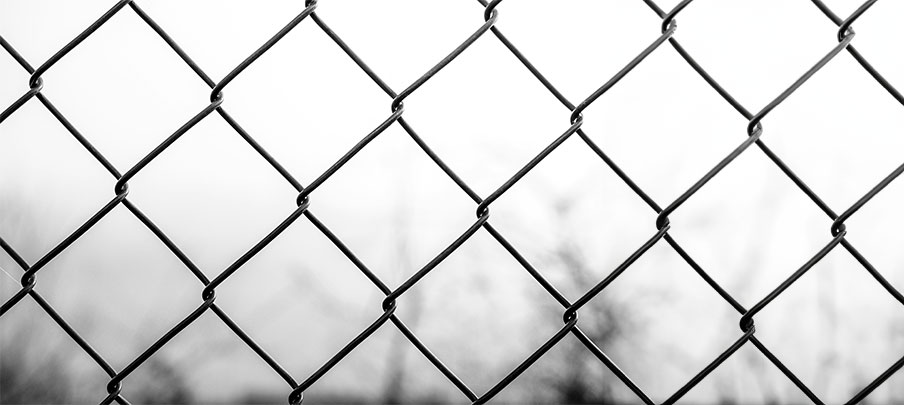 A Beginner's Guide to Wire Fencing